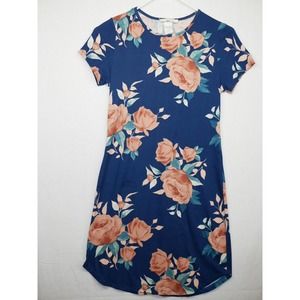 Vintage Love Spell Mini Dress Size S Blue Floral Pink Roses